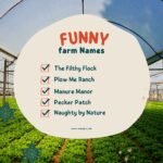 Dirty Funny Farm Names (Family-Friendly & Edgy Options)
