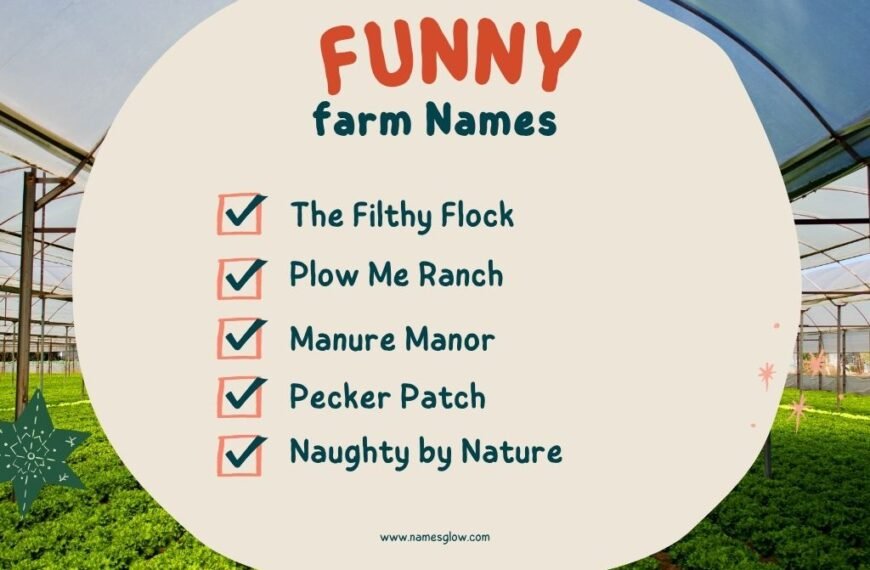 Dirty Funny Farm Names (Family-Friendly & Edgy Options)