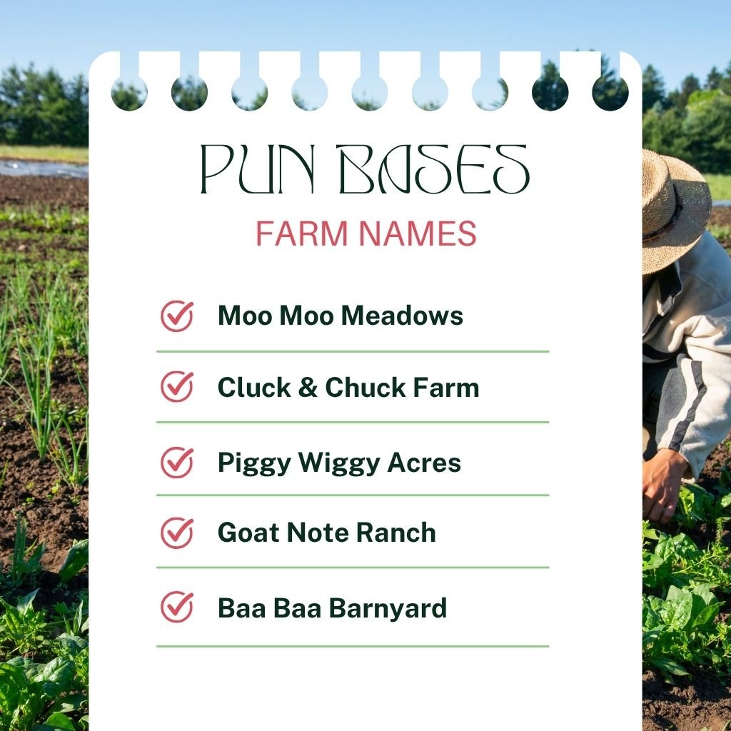 Rhyming or Pun-Based Farm Names