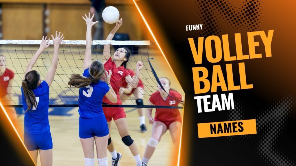 funny volleyball team names​