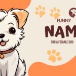 funny names for a female dog